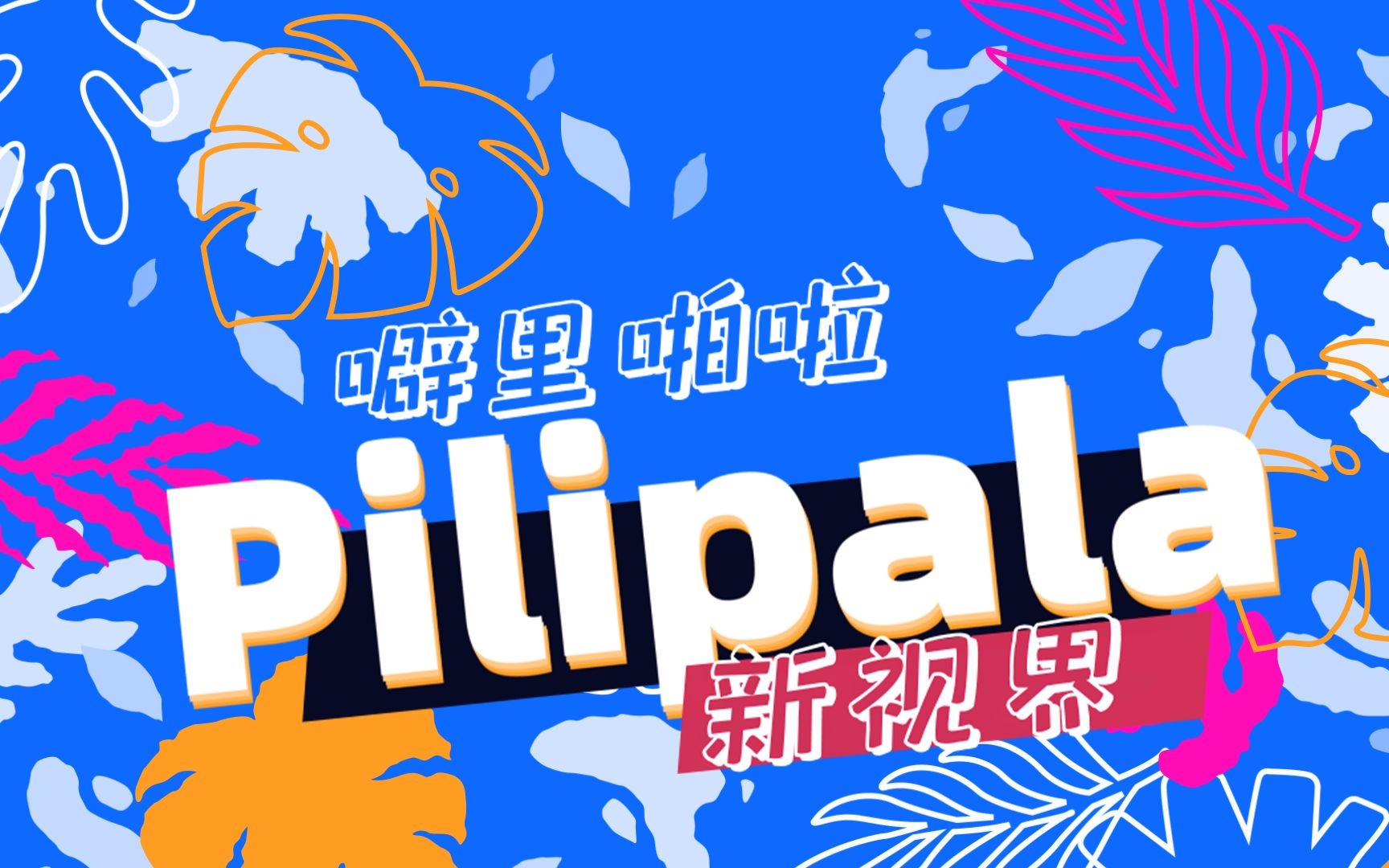 PiliPala哔哩哔哩第三方客户端,比官方版还好用!