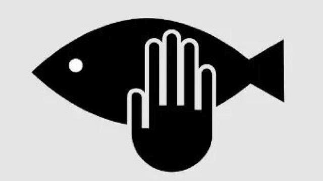 如何优雅正大光明地摸鱼，史上最强，直呼“丧心病狂”