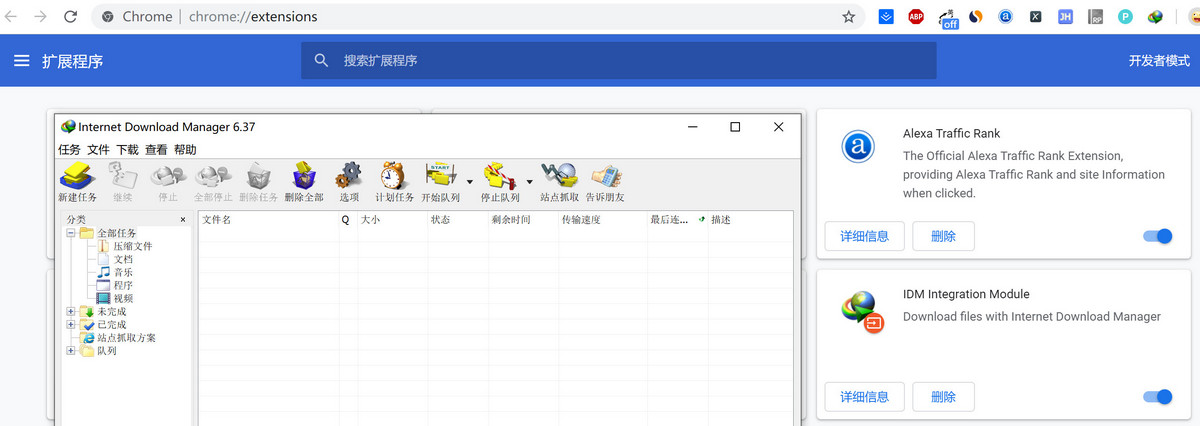 IDM视频下载,浏览器插件