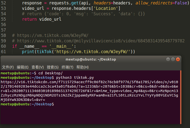 tiktok无水印视频下载源码