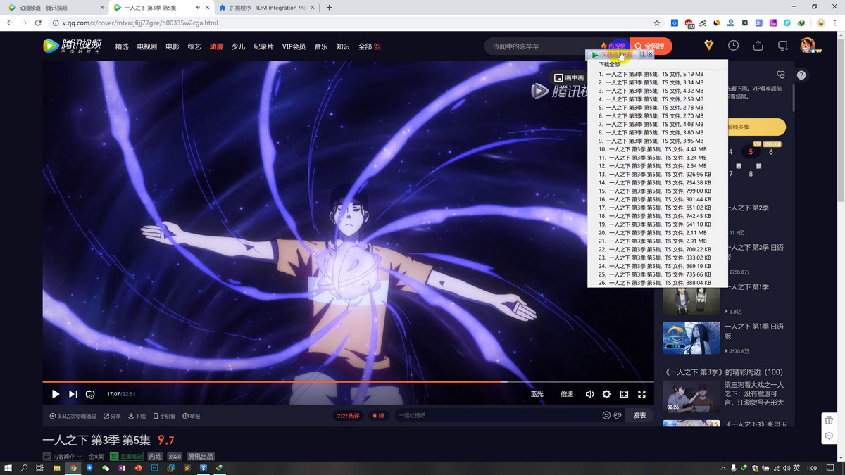 IDM分段视频解析